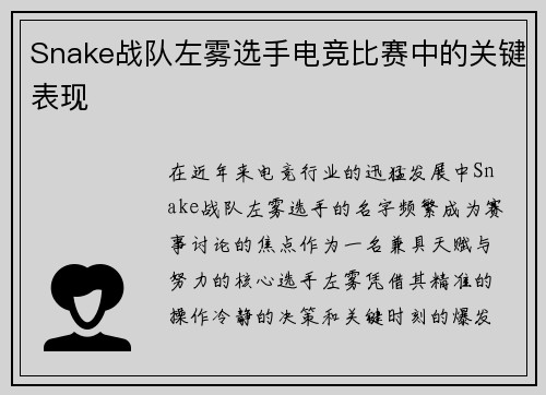 Snake战队左雾选手电竞比赛中的关键表现